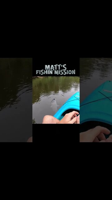 10 Pounder fishing in my kayak