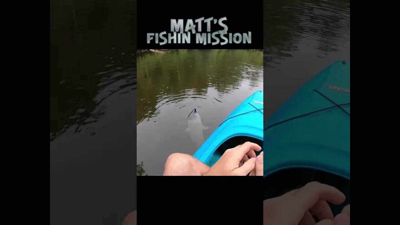 10 Pounder fishing in my kayak