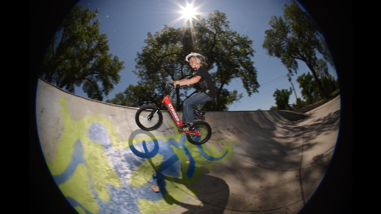 Adorable Toddler Shreds Skate Park On Bicycle