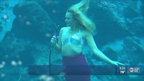 The Weeki Wachee Mermaids are back!