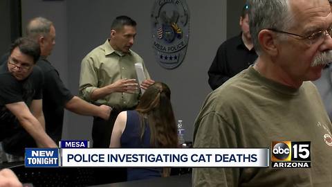 Mesa police address concerns over mutilated cats at community meeting