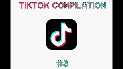 Ludicrous TikTok Compilation #3