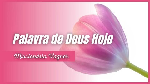 PERSEVERANÇA NO MEIO DAS PROVAÇÕES - PALAVRA DO DIA HOJE