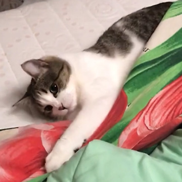 She loves fooling around