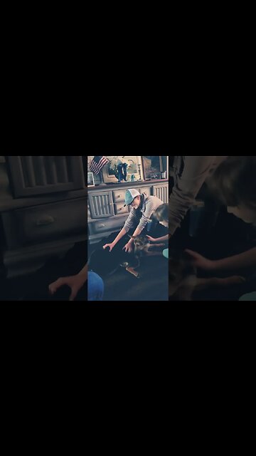 Pixilated Puppy Summer Camp... #puppies #babydogs #potager #shorts #babyanimals #puppytraining