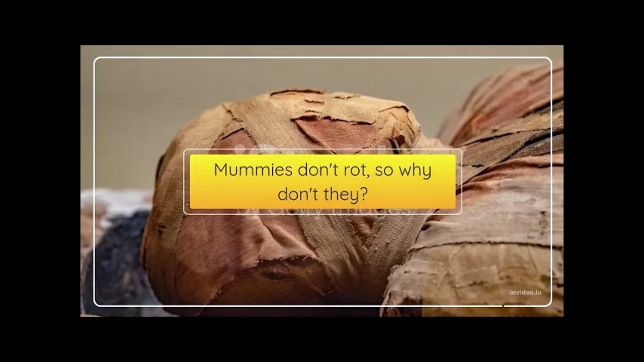 Mummies don't Rot, So Why Don't They?