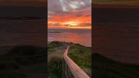 Relaxing Video