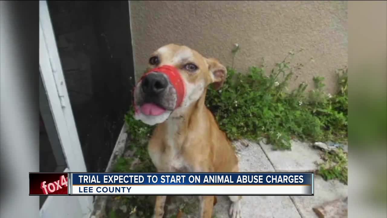 Trial of man accused of taping dog's mouth shut to begin Tuesday