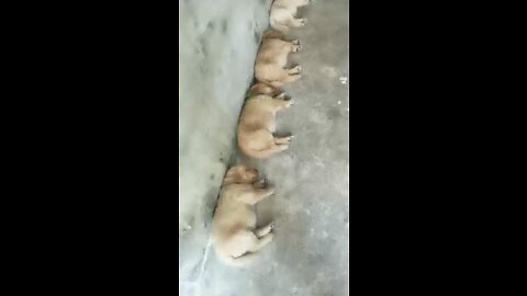 We have to get in formation and sleep