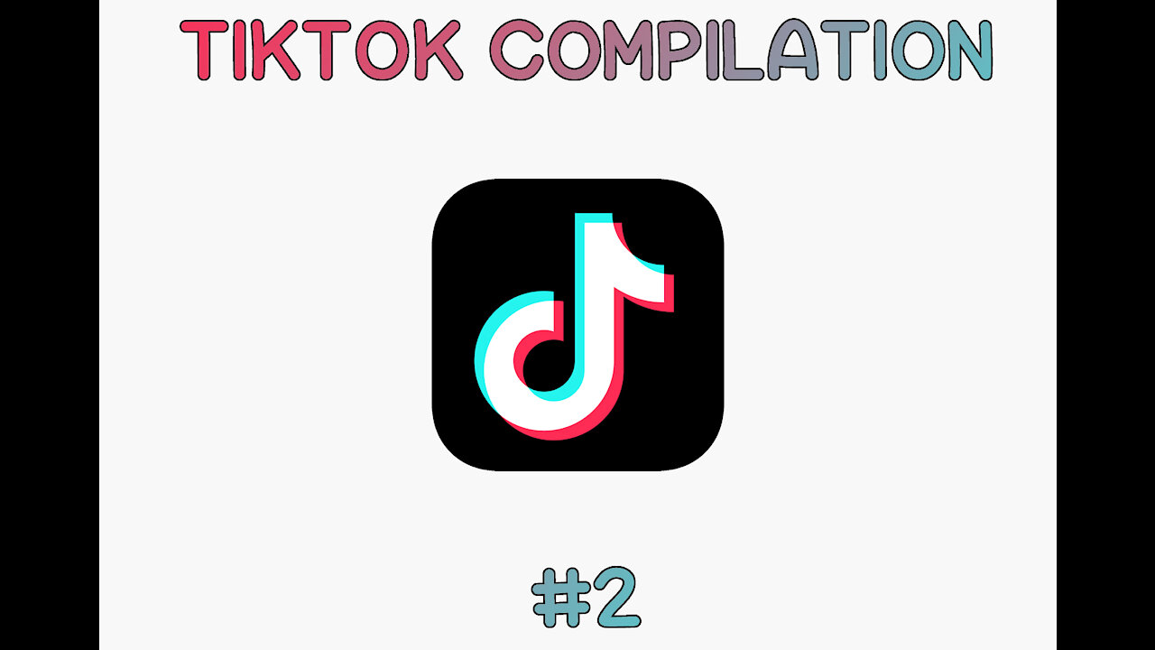 Ludicrous TikTok Compilation #2