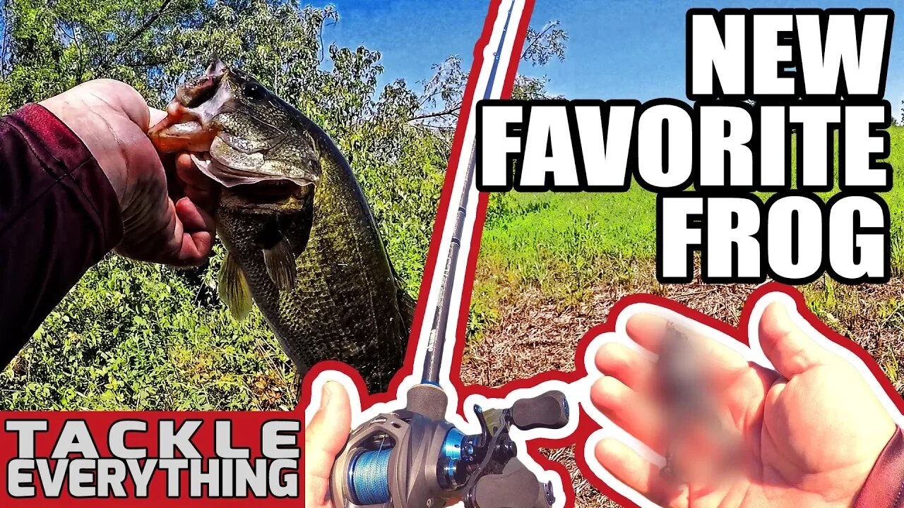 TOPWATER FROG FISHING CHALLENGE - RAGE TOAD VS SNAG PROOF VS ????