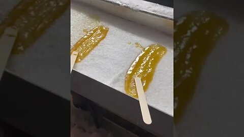 Just Canadian Things tiktok taryn hope