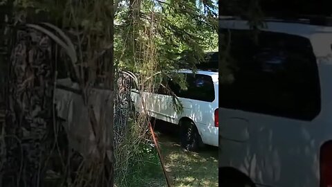 Park in the Shade. Vanlife. #shorts