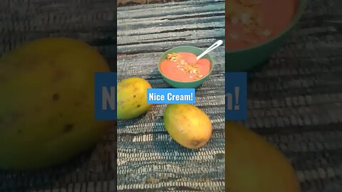 Nice Cream! Vegan, Raw, Organic ⭐⭐⭐⭐⭐