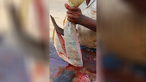 Amazing Indian fish cutting skills.