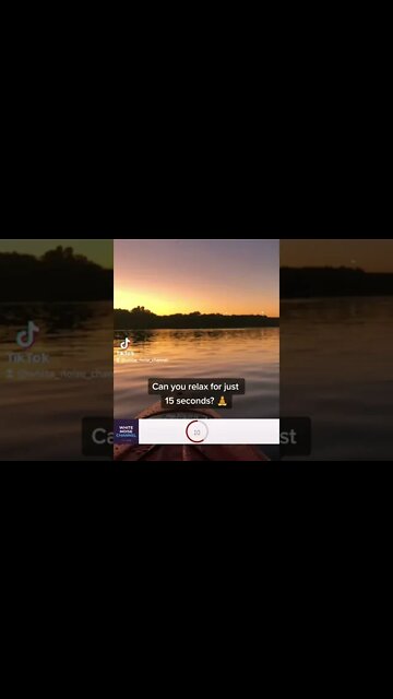 CHALLENGE: Try to relax for 15 seconds 🧘 #shorts