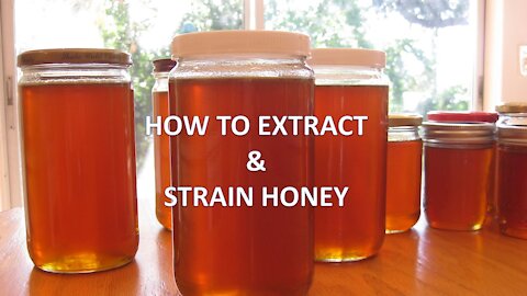 How to Extract & Strain Honey - Step by Step Guide