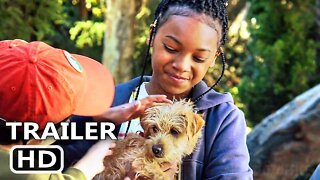 PUPPY PLACE Season 2 Trailer (2022) Adventure Series