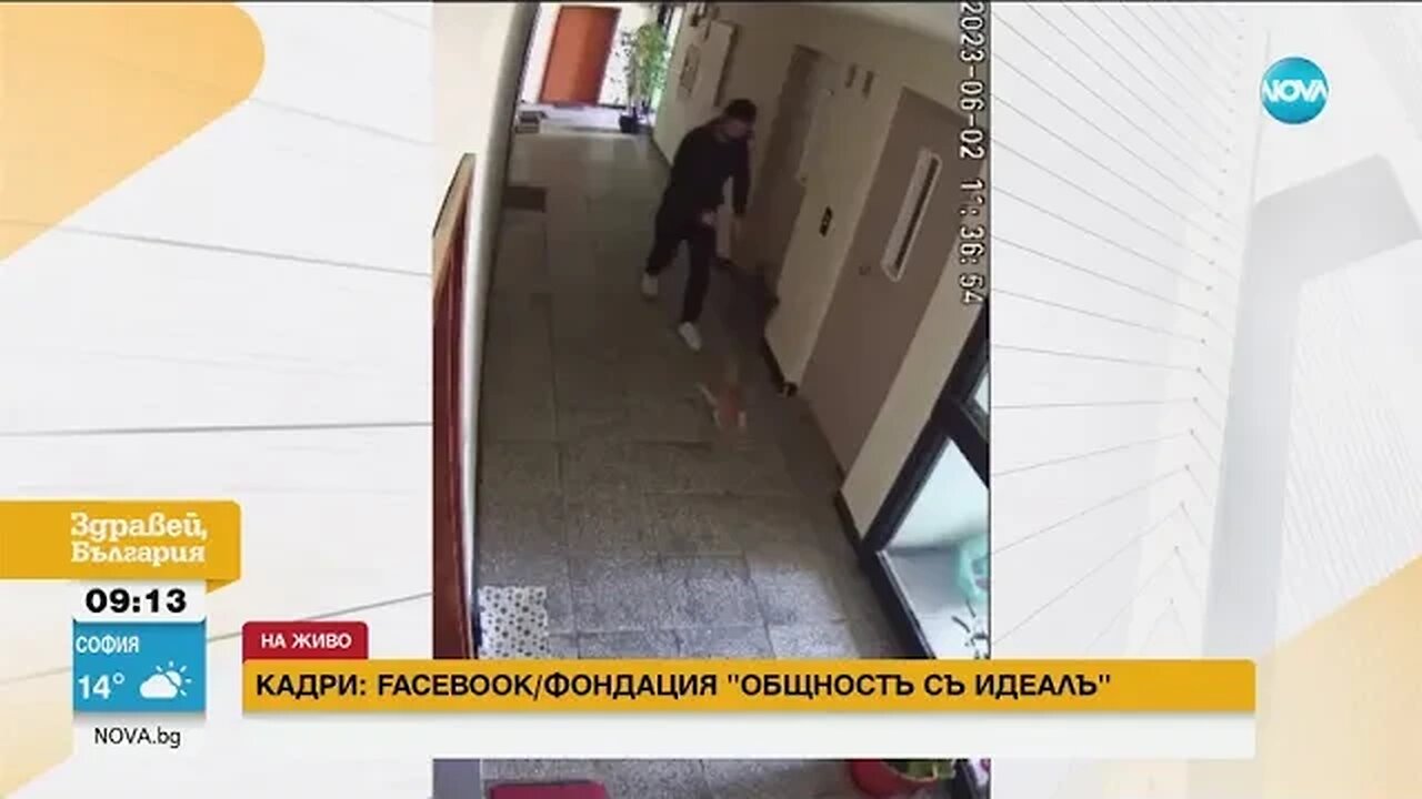 Насилие над животно Мъж рита малко кученце в блок в София