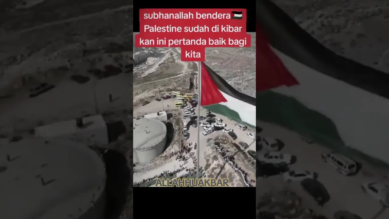 Bendera Palestina Mulai Berkibar #palestine #israel