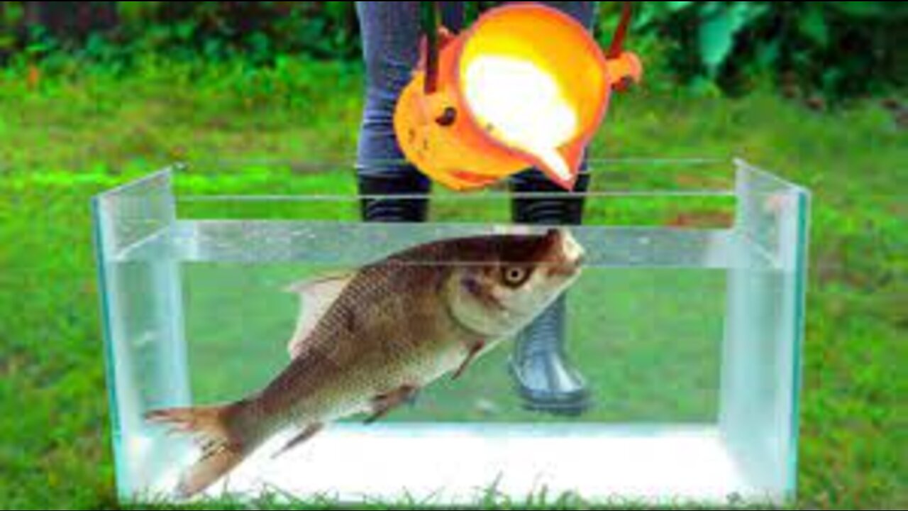 Experiment: LAVA vs FISH Under Water!