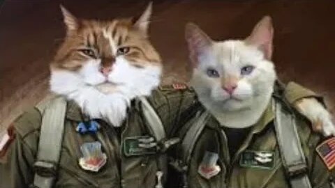 THECATSQUAD2: PLANT SUPER SOLDIER