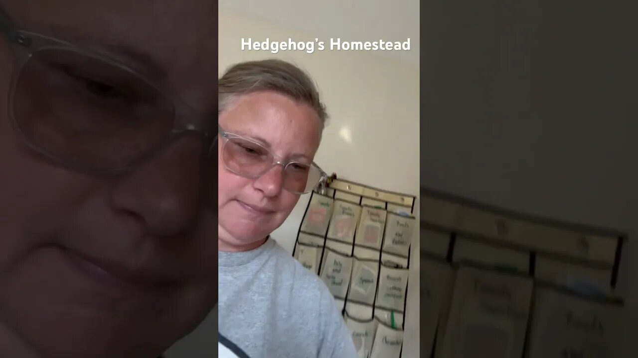 Shout out for Anna Dale