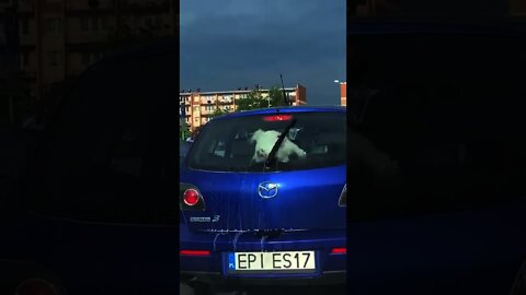 Cachorro perseguindo limpadores de para brisa