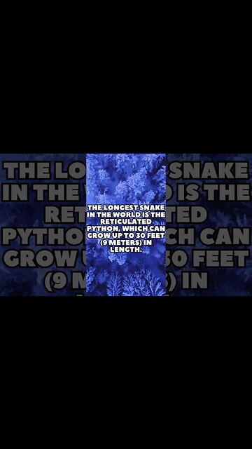 Incredible Random Facts That Will Expand Your Mind! [2023] #shorts #facts #viralshorts #fyp #life