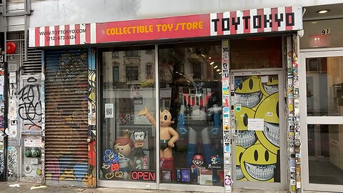 Toy Tokyo & Ukrainian Museum (LES, Manhattan)