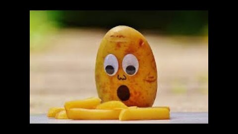 BEST FUNNY MOTIVATIONAL VIDEO21