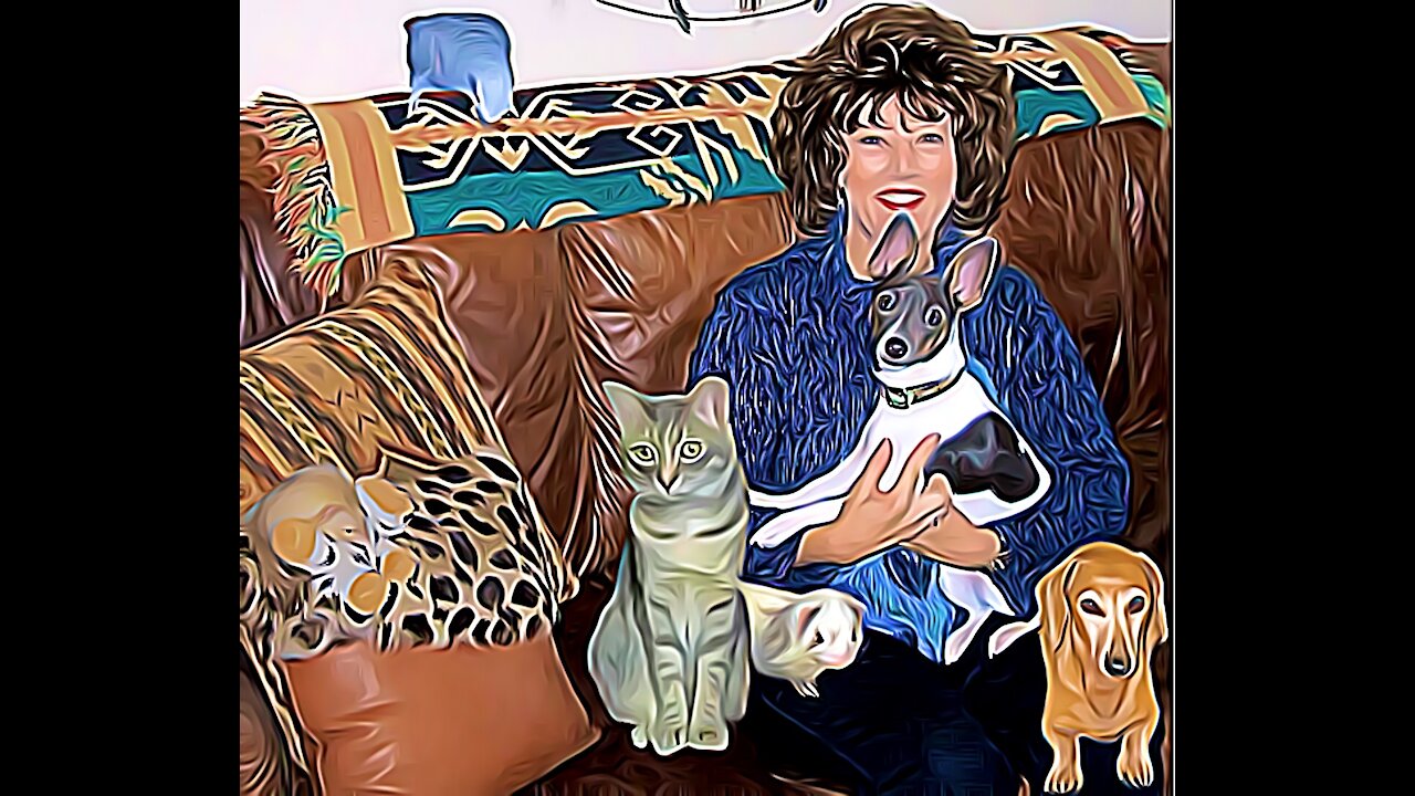 My Menagerie