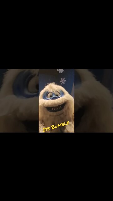 Bumble...It's Bumble | SeaWorld Orlando Christmas Celebration 2022