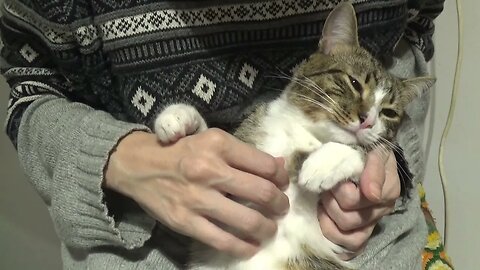 I Have Important Things to Do Hooman, so Bye!