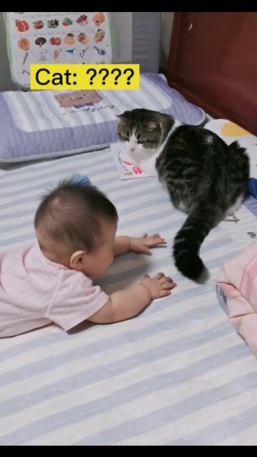 Baby and cat 🐈 fun video #short #shortsvideo