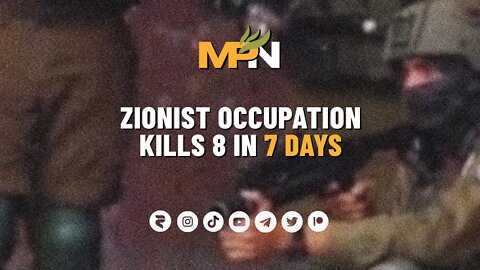 Zionist Occupation Kills 8 In 7 Days