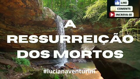 Mateus 22, 23-33 A ressurreição dos mortos #lucianaventurini #evangelhodemateus