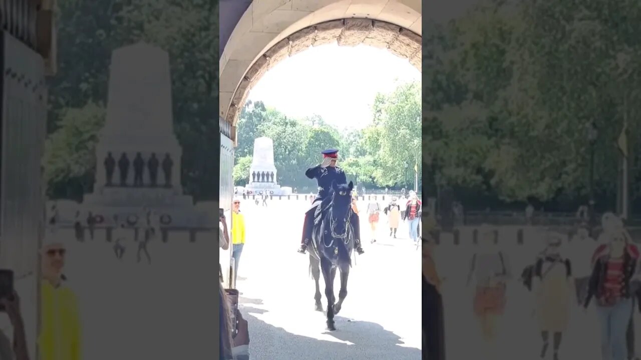 salute in side the arches #horseguardsparade