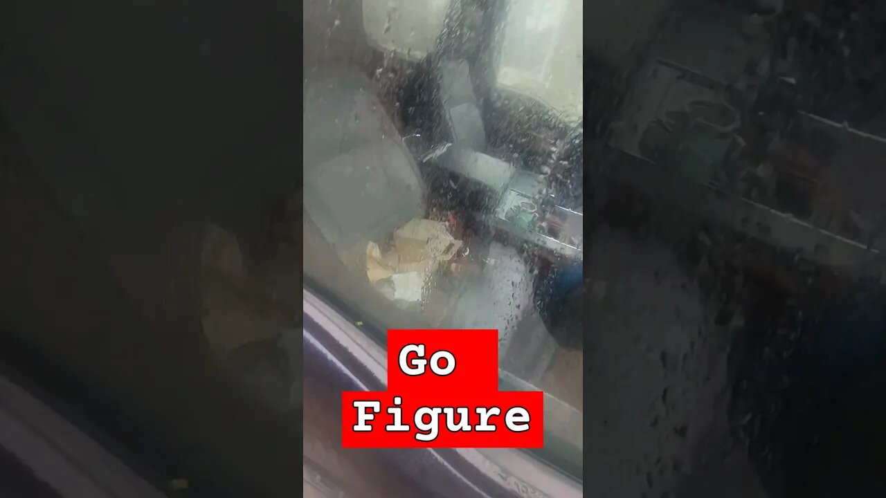 ignorant court employees