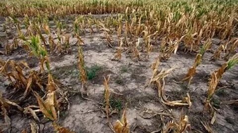 Worst global food crisis in modern history