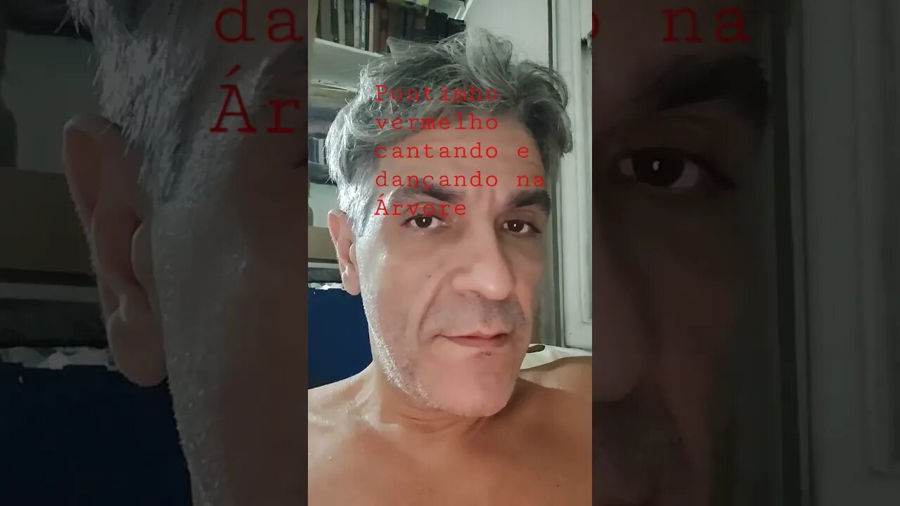 pontinho vermelho cantando e dançando na árvore o que é?