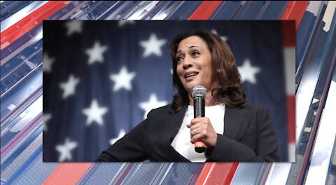 Mammoth Nation Weekly Update - June 13th