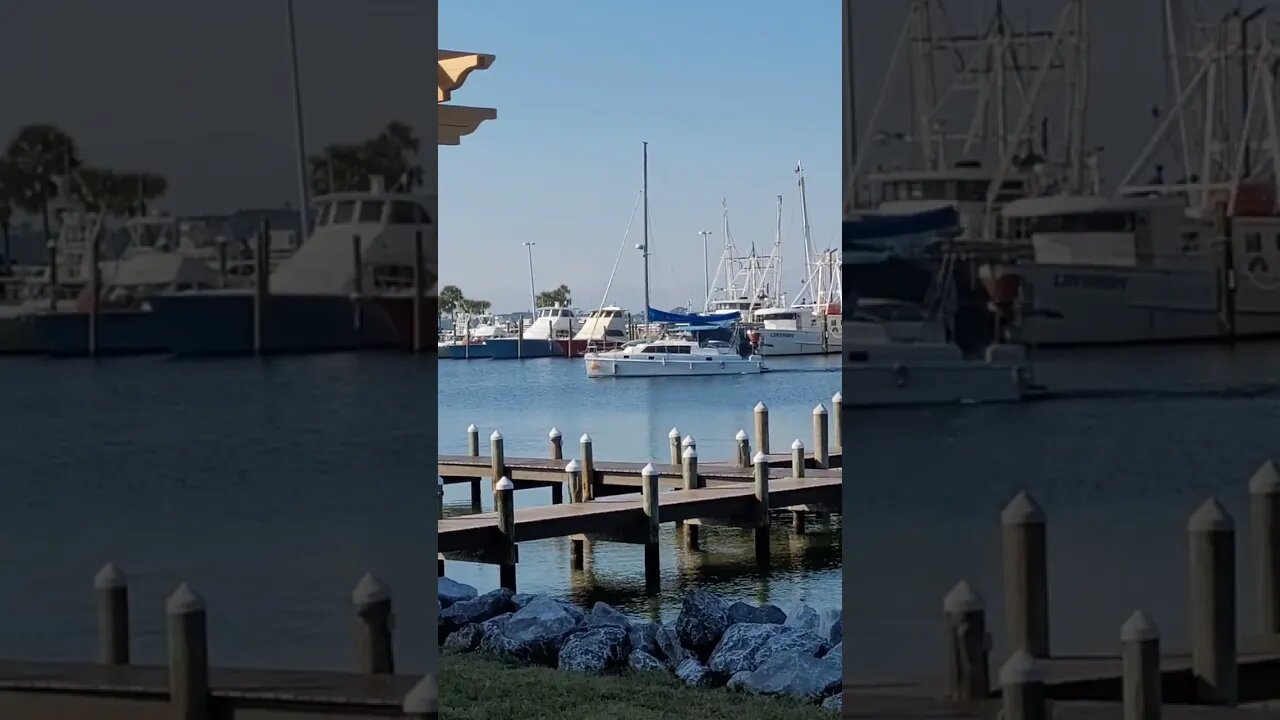 Sailing Takes Me Away ⛵ | Florida Living | Panama City, Florida 🌴🌊 #shorts