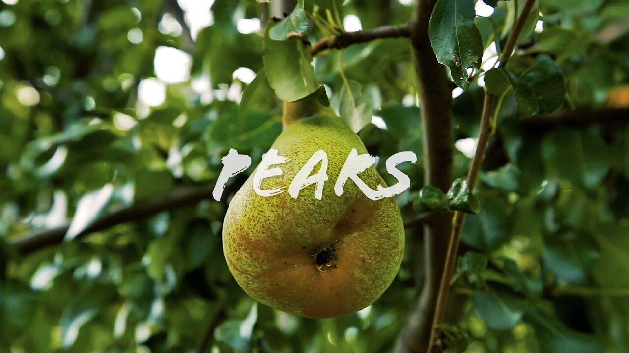 FOODIE || Farm-To-Table: Pears (2023)