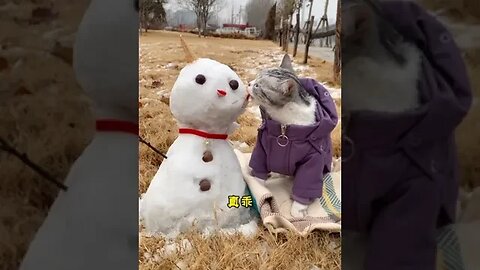 Take Puff to Play with Snow