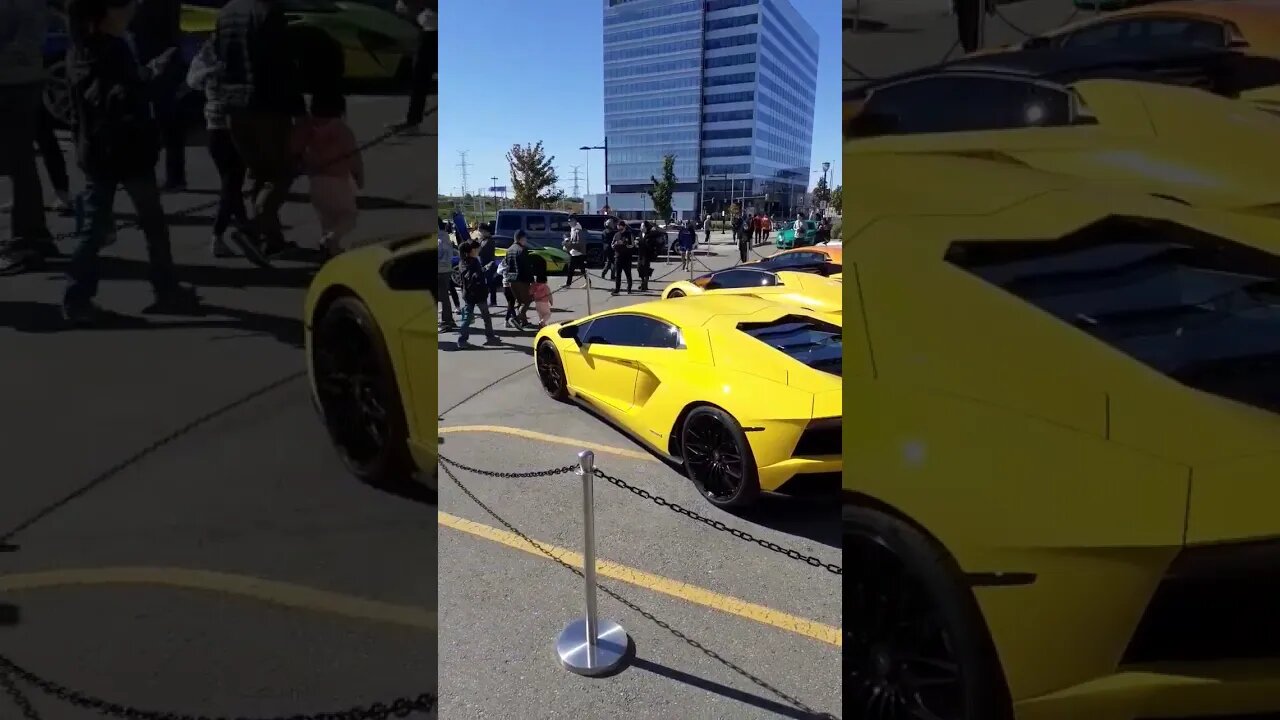 Yellow birdies plus sum #sfmcollective #shorts #cars #lamborghini #Ford #yellow #Aventador #2022