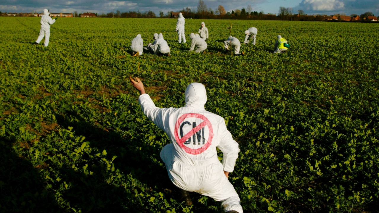 Most People Know Less About GMOs Than They Think