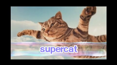 Super cat funny video