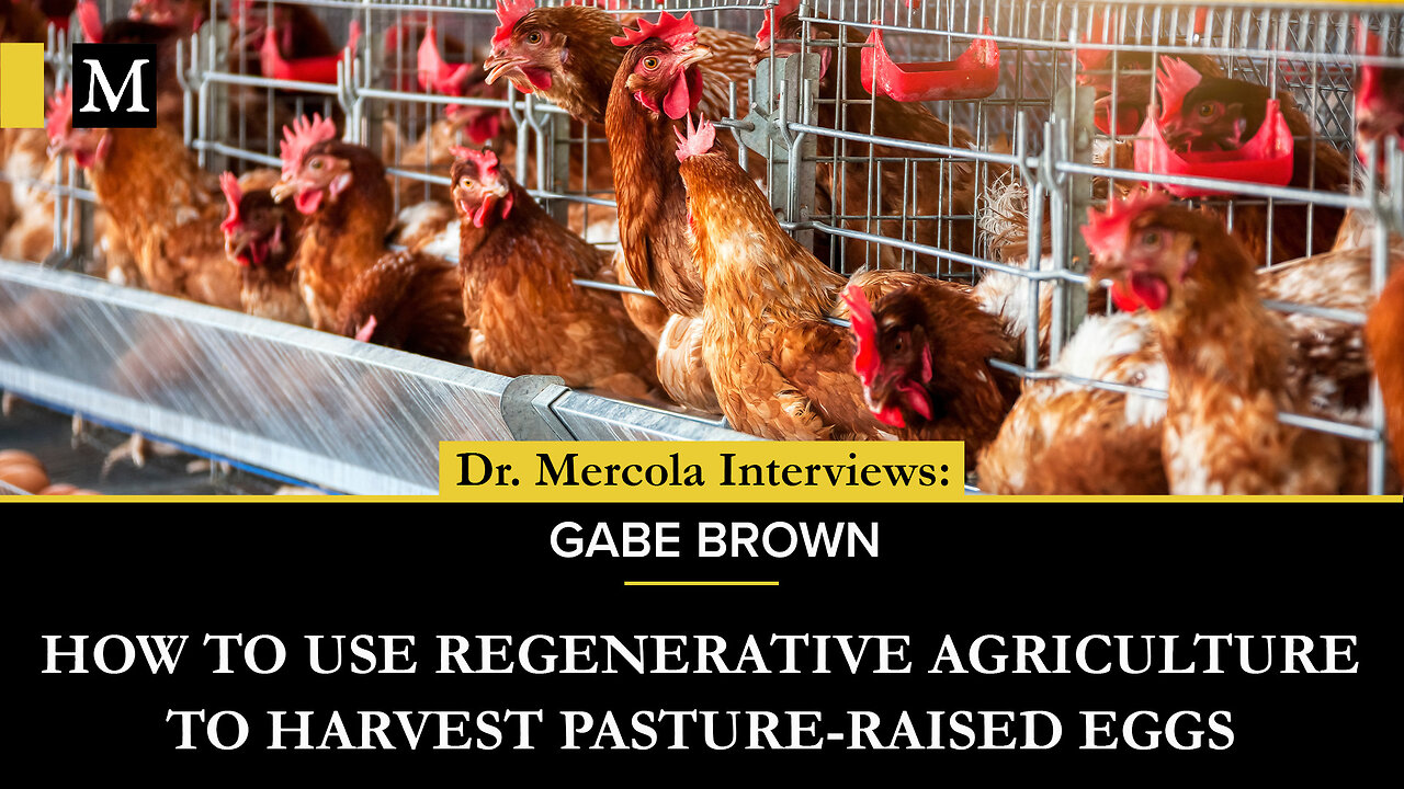 How to Use Regenerative Agriculture to Harvest Pasture-Raised Eggs - Interview with Gabe Brown