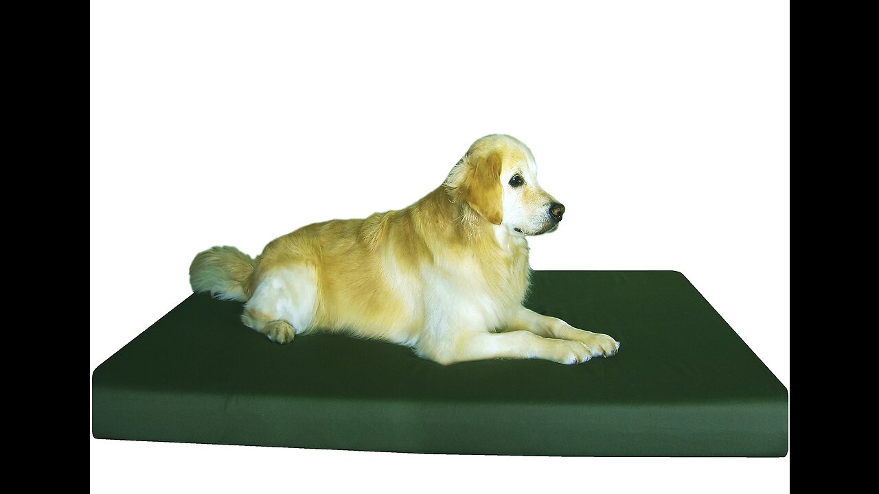 Dogbed4less Ultimate Memory Foam Dog Bed, Orthopedic Joint Relief for Small Medium to Extra Lar...